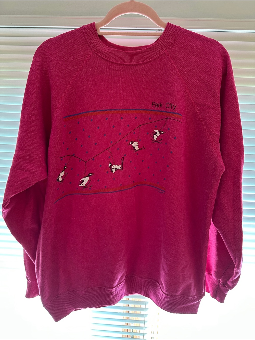 Hanes Pink Crewneck Sweatshirt with Penguin Graphic